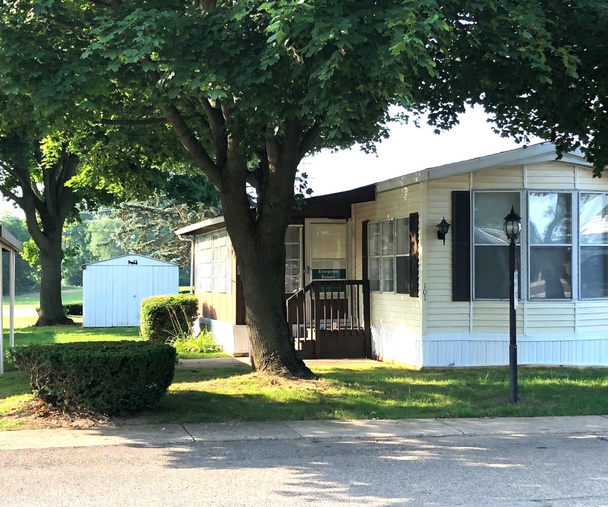 Front view of a manufactured home with a large leafy tree in the yard and a small white shed in the background.